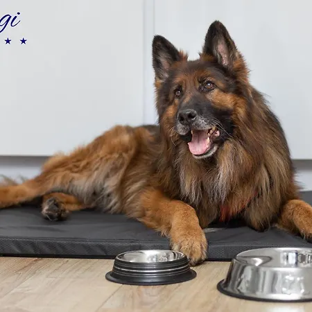 Διαμέρισμα Margi Martini Big Beauti *