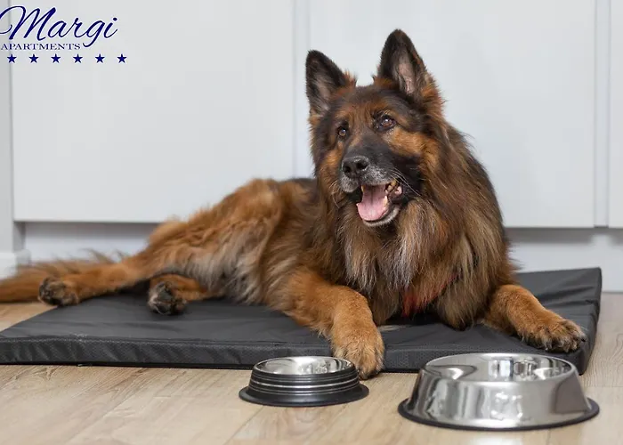 Apartamento Margi Martini Big Beauti *